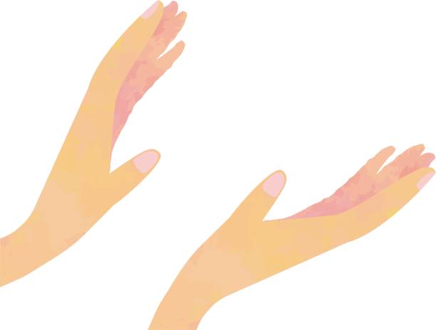 Both hands gently and positively extended / illustration material (vector illustration) Both hands gently and positively extended / illustration material (vector illustration) finger frame stock illustrations