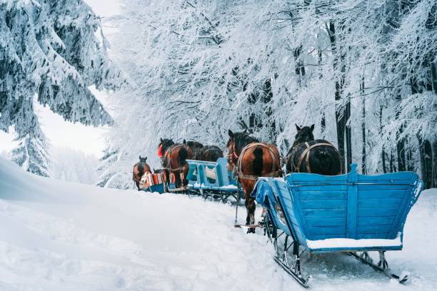 istock Horses And Sleighs On Snow Covered Mountain Road 1363568953