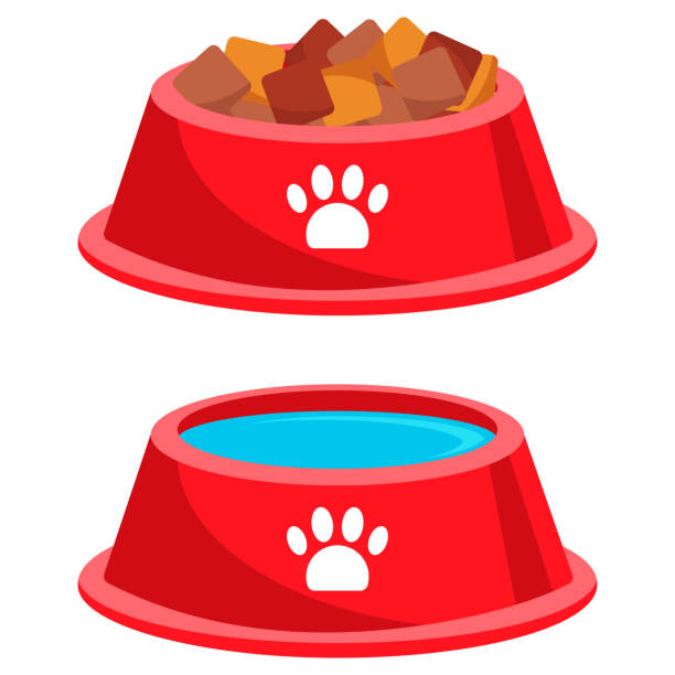 Dog Water Bowl Illustrations, Royalty-Free Vector Graphics & Clip Art -  iStock