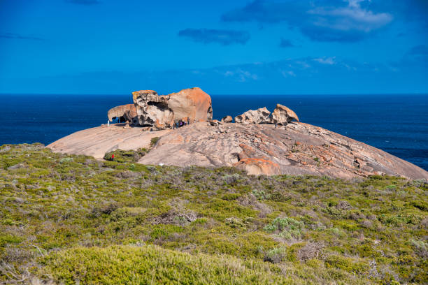 istock Remarkable Rocks along Flinders Chase National Park, Kangaroo Island, Australia. 1363571669
