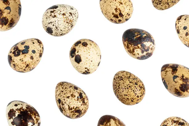 Quail eggs isolated on white background. Group of quail eggs close-up isolated on a white background. Top view. Detailed closeup of spotted quail eggs