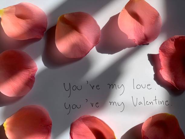 You're my love and you're my valentine text You're my love and you're my valentine text on white background. Background photo with pink rose petals and soft light. Hand written. Photo with copy space youre beautiful quotes stock pictures, royalty-free photos & images