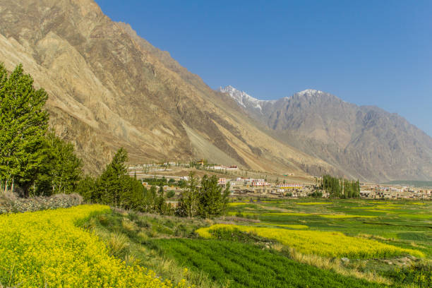 istock Various views of Diskit, Ladakh 1363579176