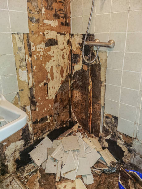 istock Black dew in a rotten old bathroom 1363580758