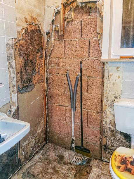 istock Black dew in a rotten old bathroom 1363580788