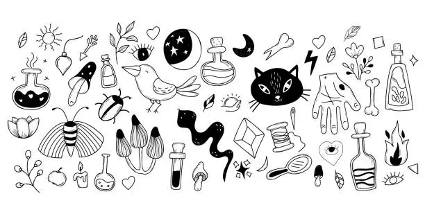 Vector illustration of Big set of magic, witchcraft and occult items for witches, animals and plants. Amulets and ritual objects, cat and snake, potion and mushrooms. Vector illustration. Linear hand isolated doodles