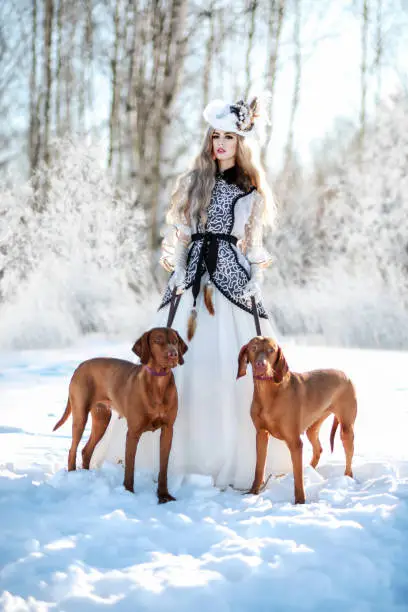 Photo of A blonde girl in a historical costume stands in the winter forest in the snow with two dogs. The royal hunt. Art photo