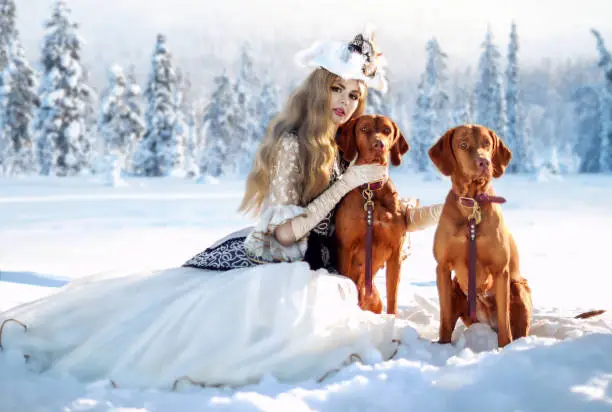 Photo of A blonde girl in a historical costume stands in the winter forest in the snow with two dogs. The royal hunt. Art photo