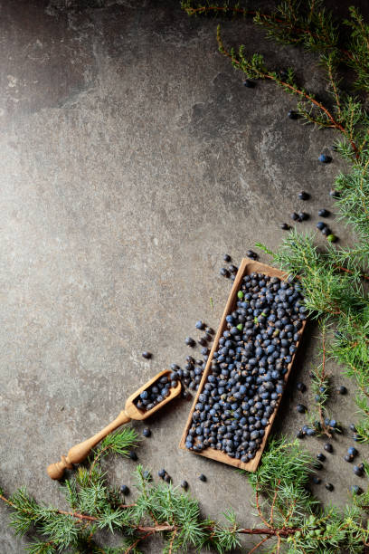 istock Wooden bowl with seeds of juniper. 1363593015