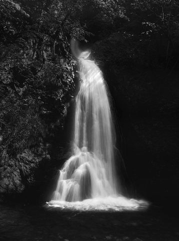Sopot waterfall on the river Manastirska, Bulgaria in black and white