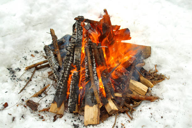 Farmer Who Burns the Branches of the Trees he Pruned