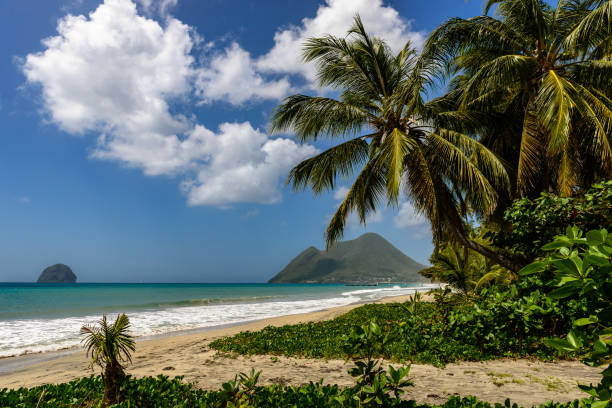 istock Le Diamant Beach in Martinique 1363596160