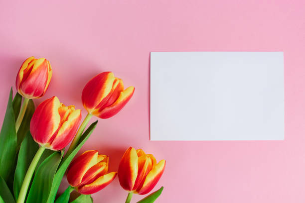 istock Fresh tulips bouquet and greeting card on pink background. Happy easter. 1363603918