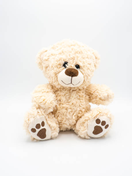 istock Teddy bear - children soft toy on white background 1363606783