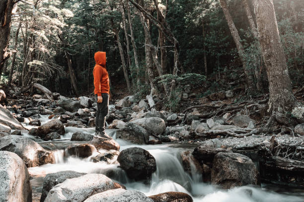 young man standing on a mighty stream. silk effect in water - south america argentina bariloche autumn imagens e fotografias de stock