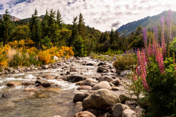 hermoso paisaje de poderosos ríos y montañas - bariloche argentina summer landscapes fotografías e imágenes de stock