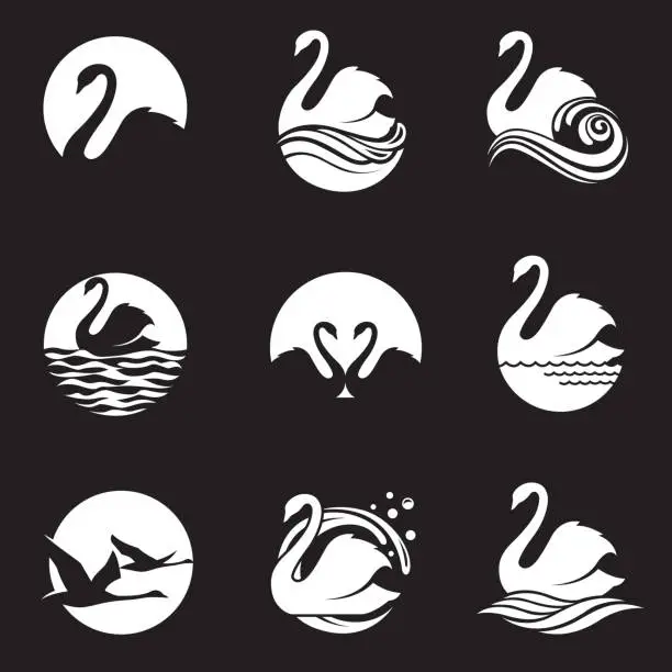 Vector illustration of white swan icon set