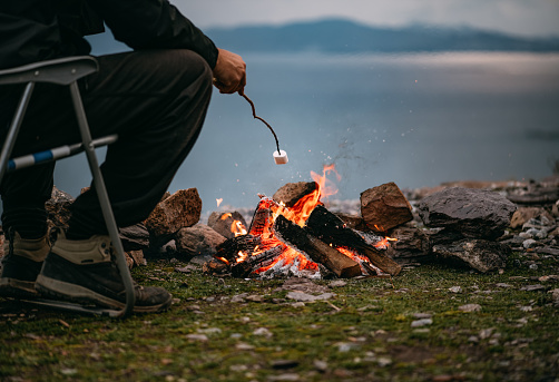 Roasting Marshmallows Over Campfire
