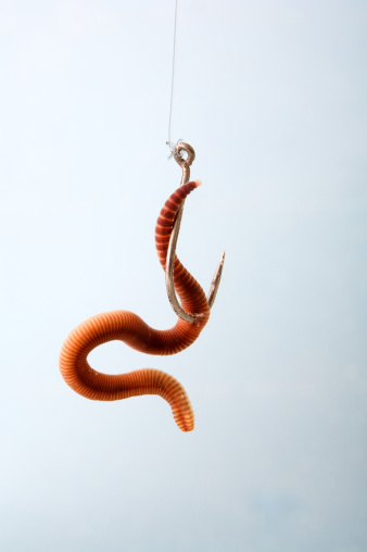 Earthworm with fishing hook