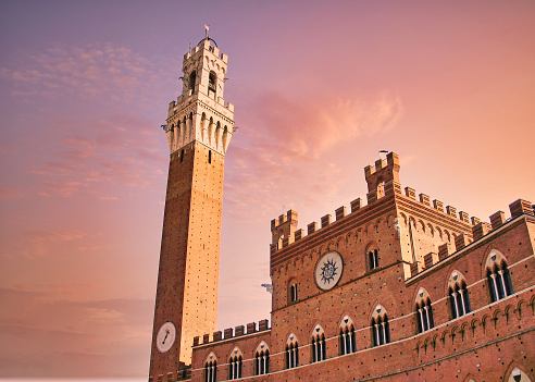 The tower of Arnolfo in the Palazzo Vecchio in Florence, Italy at sunset.