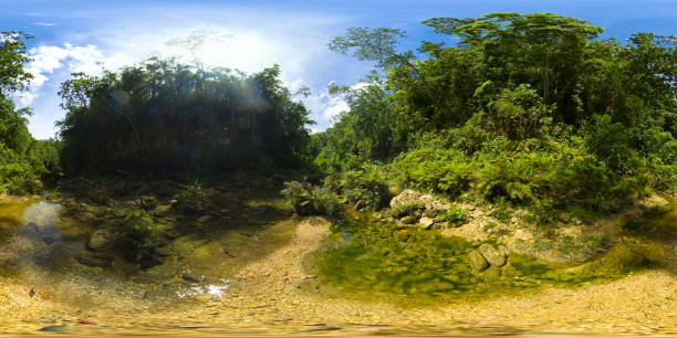 istock River in the rainforest. Philippines, Bohol. Virtual Reality 360 1363619460