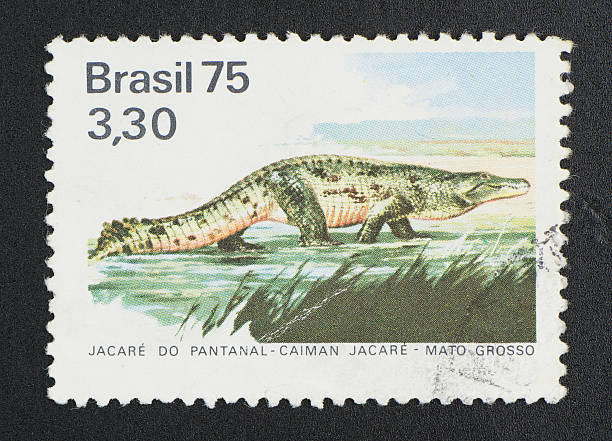brazilian postage stamp, on black background. 1975