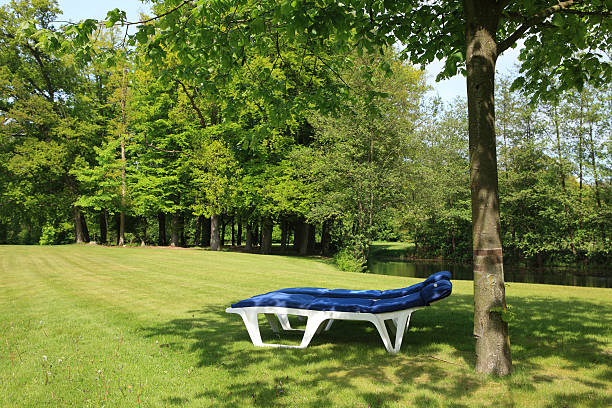 istock Lounge Chairs In The Garden 136362039