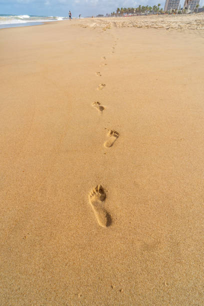 istock Jogger footprints in the sand on Brazilian beach 1363620580