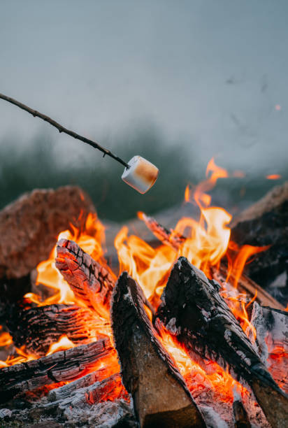 close-up roasting marshmallows over campfire - fire pit campfire bonfire fire imagens e fotografias de stock