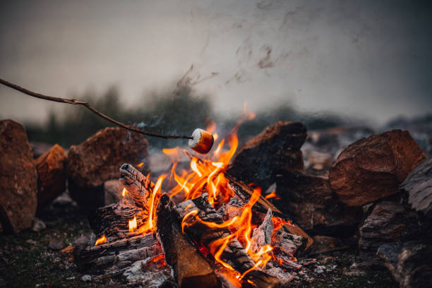 asar malvaviscos sobre la fogata - fire pit fire camping burning fotografías e imágenes de stock