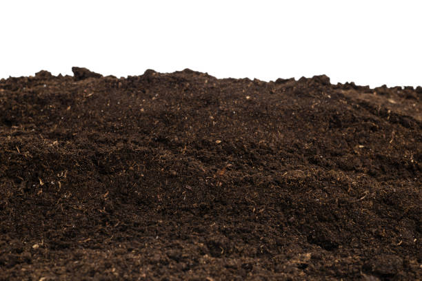 istock Soil for plant isolated on white background. 1363621023