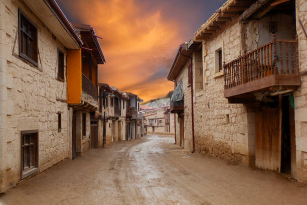 ayazini afyon historical houses sunset - undomesticated cat fotos imagens e fotografias de stock