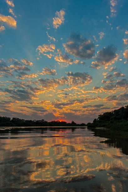 istock Sunrise over the Cuiaba River, Pantanal, Brazil 1363627634