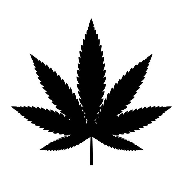 illustrations, cliparts, dessins animés et icônes de symbole de feuille de mariuhana, icône de marijuana ou de chanvre, signe médical de cannabis, illustration de vecteur de drogue de herbe - weed