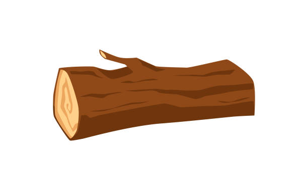 ilustrações, clipart, desenhos animados e ícones de log de madeira no estilo flat de desenho animado, ilustração vetorial isolada em fundo branco. - computer graphic image stick tree trunk