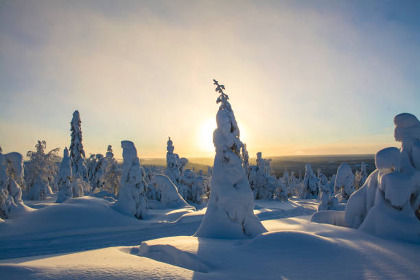 istock Arctic sunset in Lapland Finland 1363631997