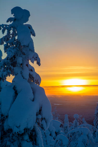 istock Arctic sunset in Lapland Finland 1363632146