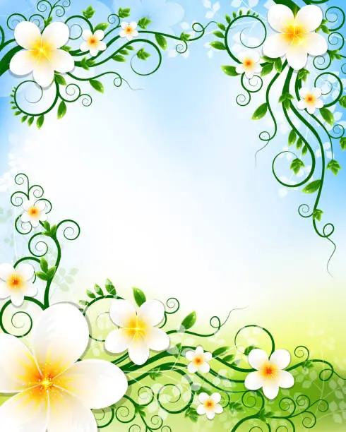 Vector illustration of Spring Jasmine