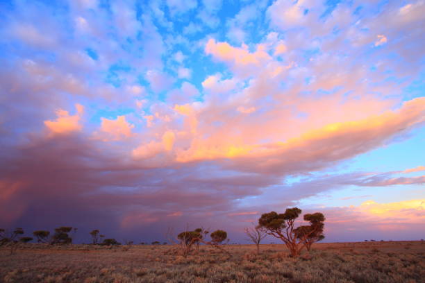 istock Evening storm approaching in the Australian outback 1363633166