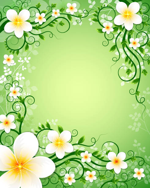 신선한 재스민 - leaf green backgrounds flower stock illustrations