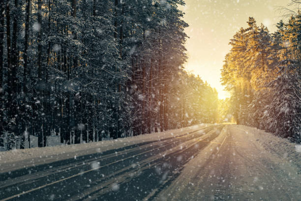istock beautiful winter background with a snow-covered forest road 1363634221