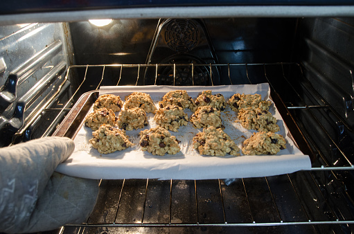 Hand with oven mitten removing Oatmeal cookies with chocolate chips and dried cranberries from oven
They are on a cookie plate with parchment paper