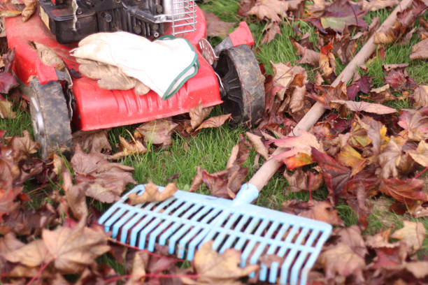 istock garden tools for collecting leaves garden tools for collecting leaves 1363634984