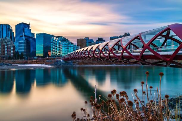 Free Stock Photo of Calgary Peace Bridge angle | Download Free Images ...