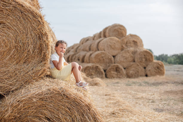Excited little girl sitting on rolled haystack in sundress resting back on another hayrick picking teeth with piece of hay. Having fun away from city on field full of golden hay