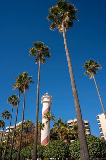 istock Marbella Palm trees downtown in Playa del Faro Lighthouse beach 1363636016