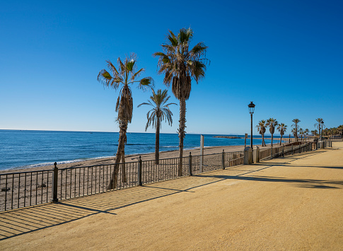 Tall palm trees are along the main street in Cannes - Promenade de la Croisette.