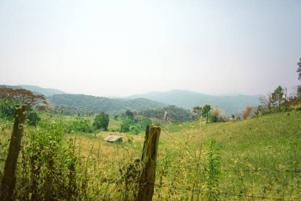 istock Landscape of Chiang Mai province with mountain range 1363637583