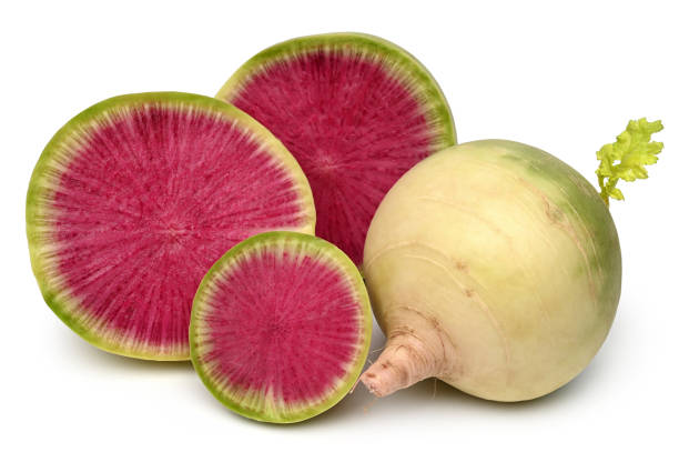 Watermelon radish Watermelon radish on white background yellow melons field stock pictures, royalty-free photos & images