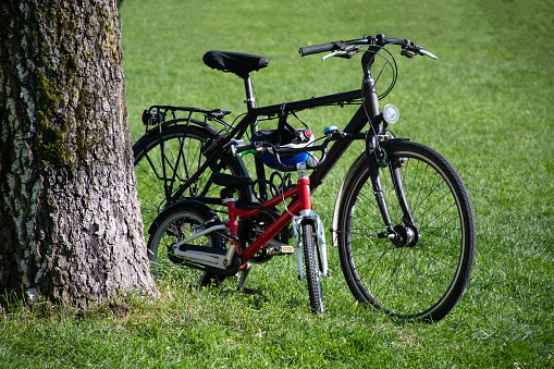 An adult-sized men's bike and small, red child-sized bike standing next to each other, and next to a tree trunk, in green grass in summer.